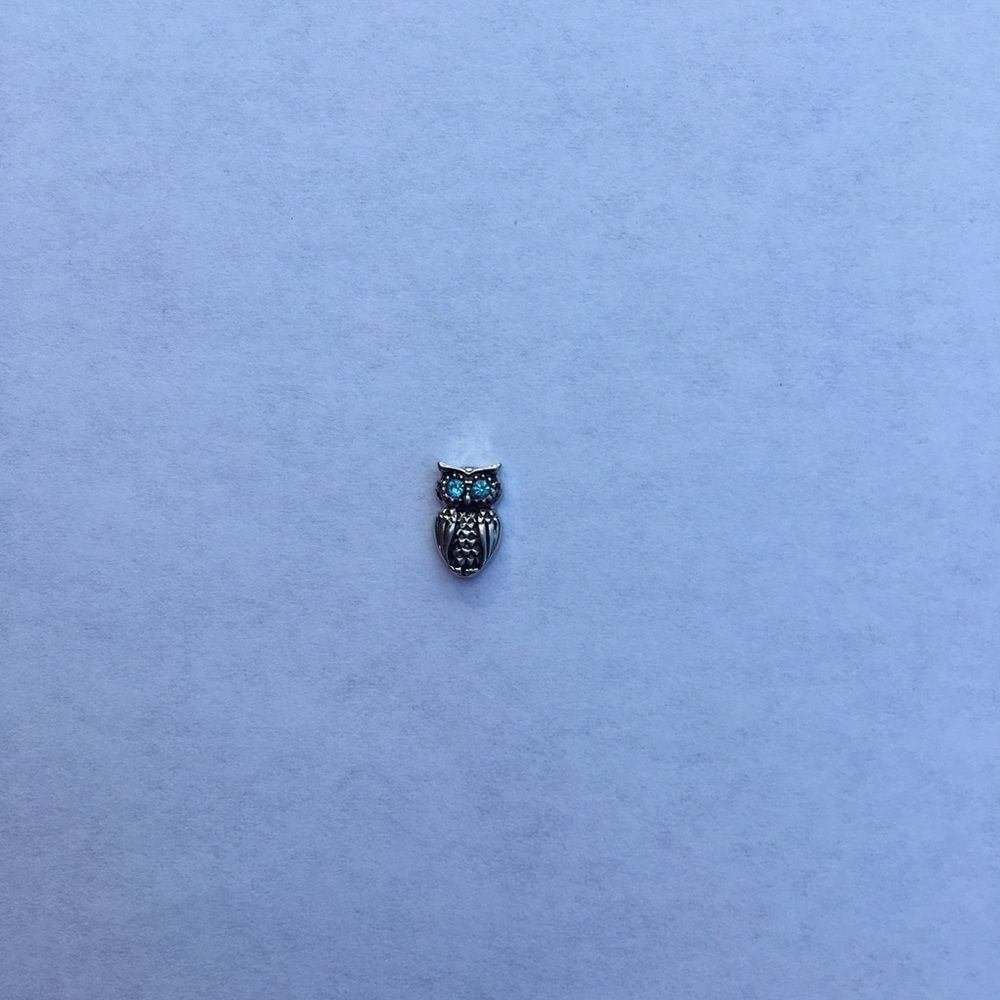 Origami Owl Charm - Owl